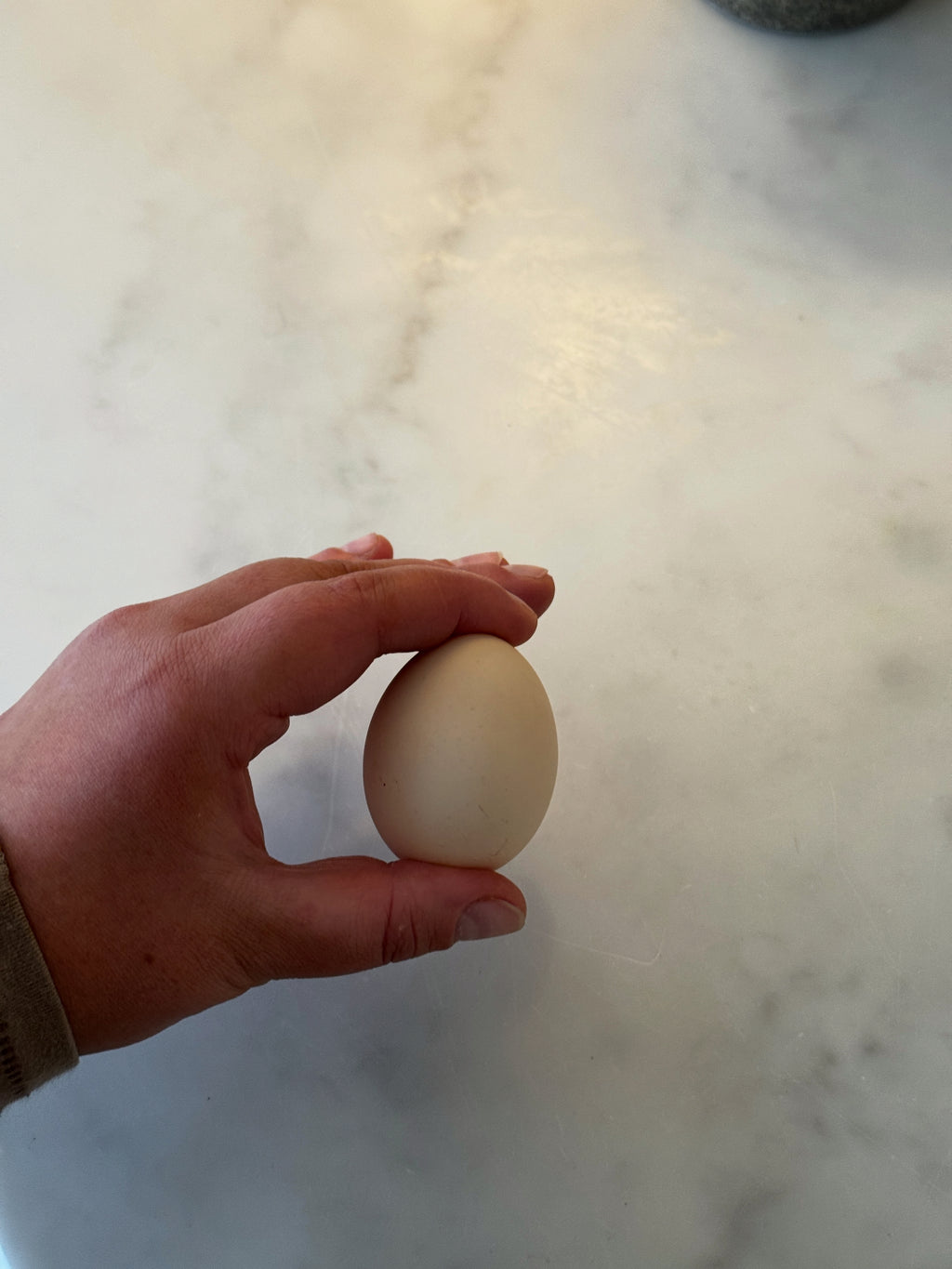 Assorted Pekin Bantam Hatching Eggs - Free Delivery